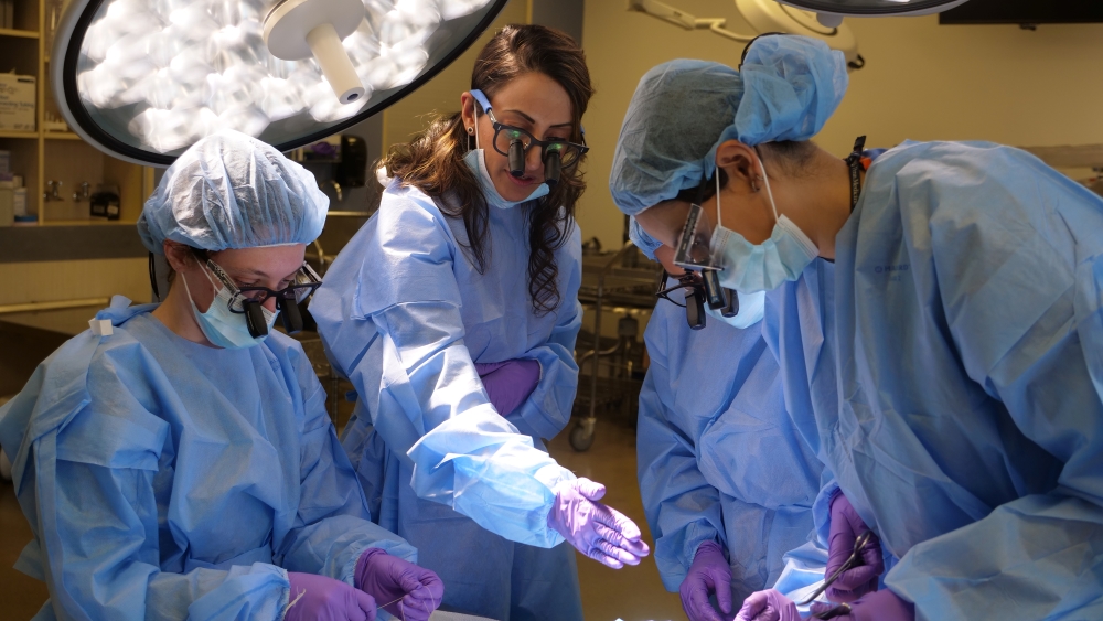 Dr. Zarina Ali teaching a group of neurosurgery residents